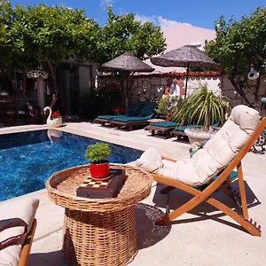 https://bademici-otel.aegeanhotels.net
